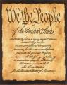 Constitution